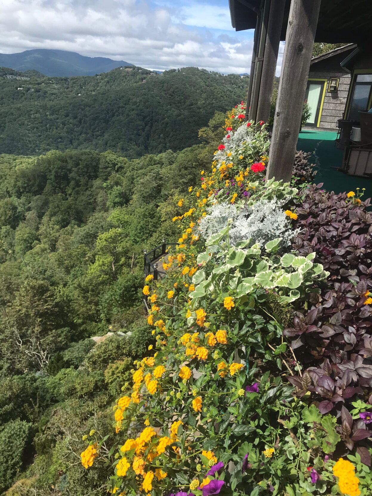 Garden on a slope